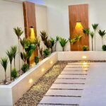 افضل نباتات الزينة الخارجية